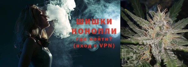 ГАЛЛЮЦИНОГЕННЫЕ ГРИБЫ Медвежьегорск