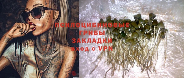 ГАЛЛЮЦИНОГЕННЫЕ ГРИБЫ Медвежьегорск
