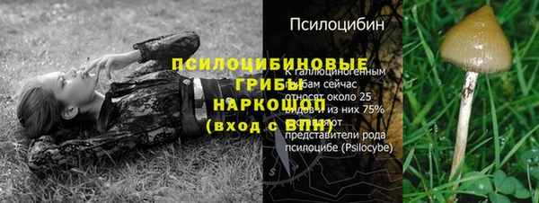 ALPHA-PVP Мегион