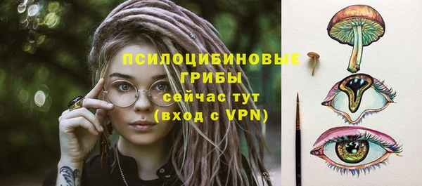 ECSTASY Михайлов