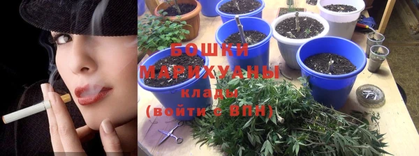 ГАЛЛЮЦИНОГЕННЫЕ ГРИБЫ Медвежьегорск