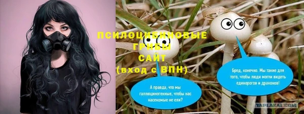 ГАЛЛЮЦИНОГЕННЫЕ ГРИБЫ Медвежьегорск